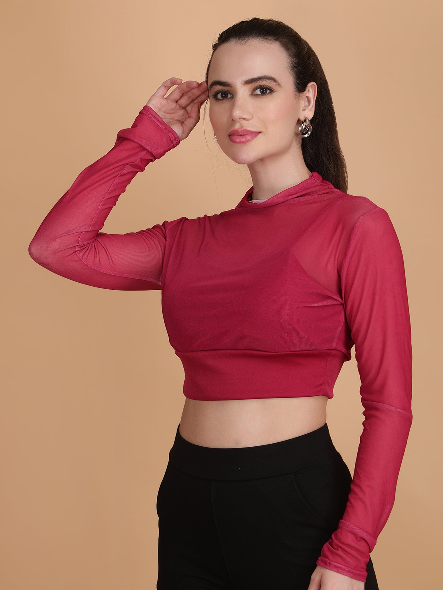 Mesh Long Sleeve Crop Top