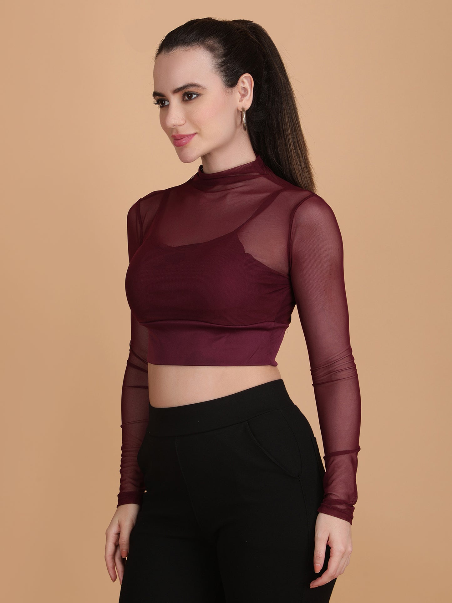 Mesh Long Sleeve Crop Top