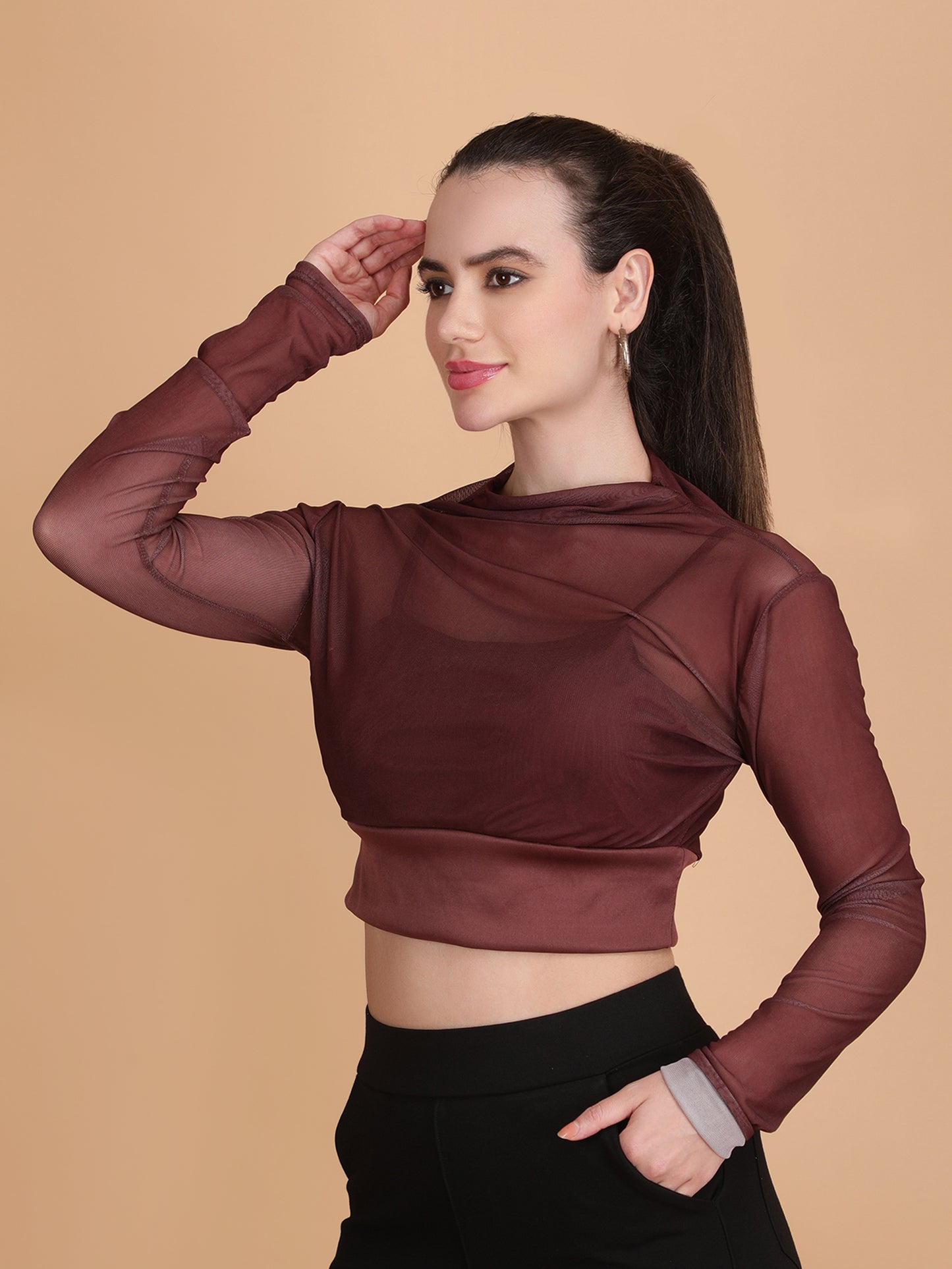 Mesh Long Sleeve Crop Top